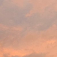 Nafisa Bakkar (@nafisabakkar) 's Twitter Profile Photo Nafisa Bakkar (@nafisabakkar) 's Twitter Profile Photo
