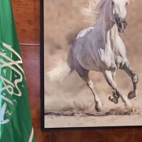 ابو سعد - الجبيري (@al_jubairii) 's Twitter Profile