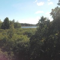 Ali Aila (@aliaaila680213) Twitter profile photo