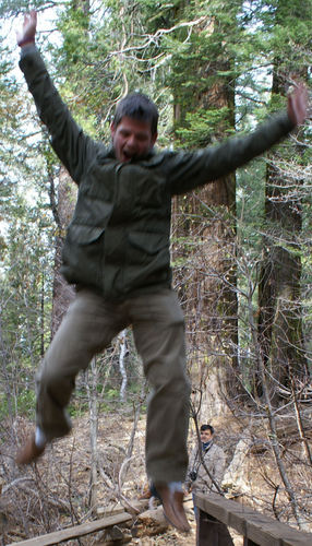 Tim_Perrett's profile picture. Perrett Fencing & Post Plate + ex AloudSounds + ex Soil Association + YFC & Harper