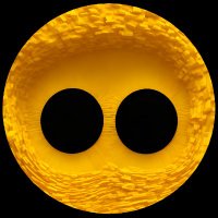 ANiMA (@animaomni) 's Twitter Profile Photo ANiMA (@animaomni) 's Twitter Profile Photo