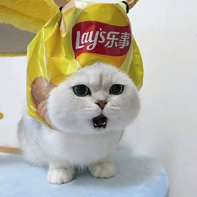 bbrillevc's profile picture. 
