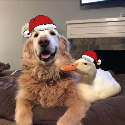 Slumfy1's profile picture. full time price cheerleader