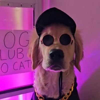 Cristv81's profile picture. 