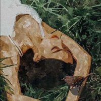 kira_oilpainting (@leach_juli24844) 's Twitter Profile
