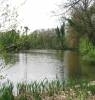 Pendeford Mill Nature Reserve is a site of valuable environmental and historical significance. Naturally managed countryside dating back to the 13th century.
