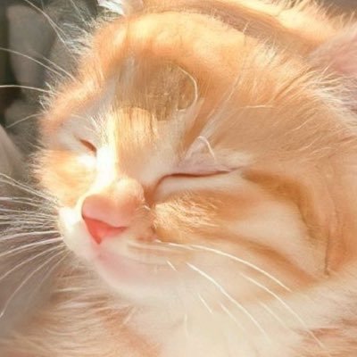 Moon_e456's profile picture. 