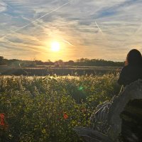 Natalie Mean (@npmean) 's Twitter Profile