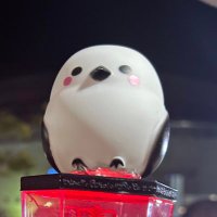 maki_sho_iLYs❤️ (@6fjzwmqefxdnprn) 's Twitter Profile