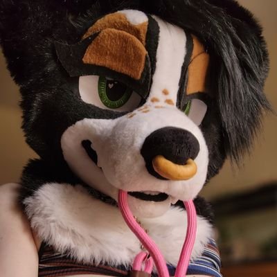 28y/o She/Him |Aussie+Doberman mutt| ΘΔ -bi+taken- ❥friendly service doggie❥ 🔞NSFW 18+ONLY🔞