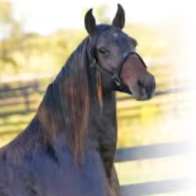 Want to know how to make a million bucks in the horse business? Start with ten million!