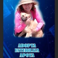 betty sarango (@sarangobetty) 's Twitter Profile Photo betty sarango (@sarangobetty) 's Twitter Profile Photo