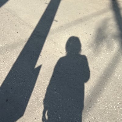 nodegggen's profile picture. @MindPalace_ai