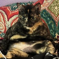 julia muller (@julmul13) 's Twitter Profile