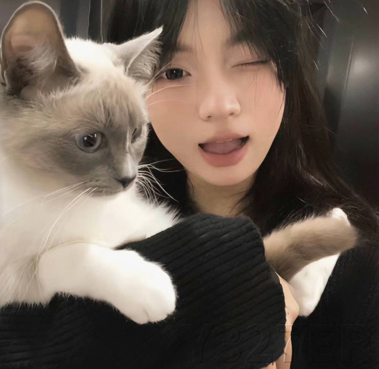 EKilback67883's profile picture. 同城上门服务，无定金~无门槛～💋💋我的大号有我微信:@SauterMargie 点击即可查看。 -----------------------------------------------------------------------安全Θ靠谱Θ极速Θ专业------