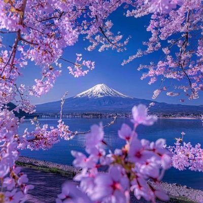 Antonio08737715's profile picture. 