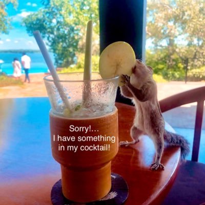 tousem_p's profile picture. 