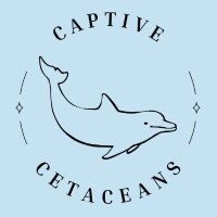 Captive Cetaceans (@captiveceta) 's Twitter Profile Photo Captive Cetaceans (@captiveceta) 's Twitter Profile Photo