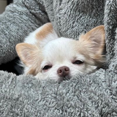 zih6008's profile picture. モネックス証券のアナリスト。 早稲田大学卒業、金融業界で11年の経験を持ち、複数のファンドマネージャーを務めた経歴があります。