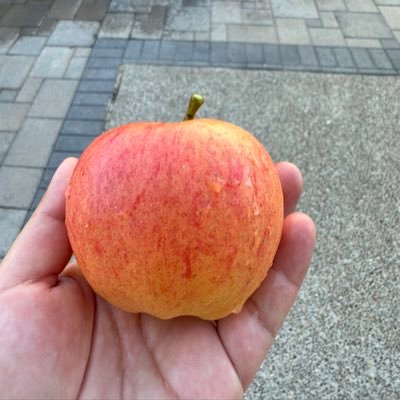 chenchef33's profile picture. 20 years of experience in sushi making has made me a sushi chef who strives for infinite perfection and a restaurateur who pays attention to detail