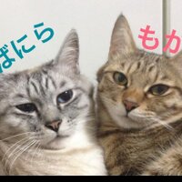 Yu.co(@yucokoda) 's Twitter Profile Photo