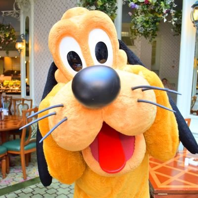 KUMI (@93plu515) / Posts / X