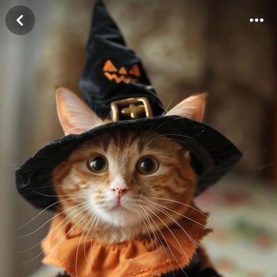 ivanaquino12's profile picture. Agradecido con Dios y sus bendiciones