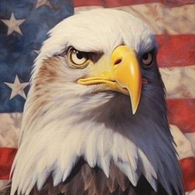 ricedonenotdone's profile picture. GOD KNOWS

communism is anti-christian ideology
https://t.co/9mIAVop5Rn

Time to finally gear this thing up...