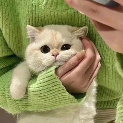 Goofball_next's profile picture. 