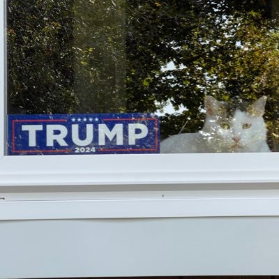 AnneCoo14341998's profile picture. 