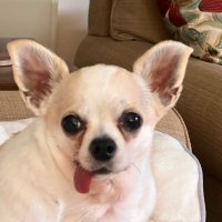 Arizonalady (@teresaa46936737) 's Twitter Profile Photo Arizonalady (@teresaa46936737) 's Twitter Profile Photo