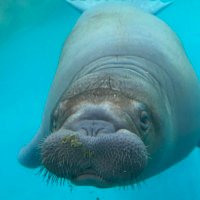 ユウキ (@yuki_kanata323) 's Twitter Profile Photo