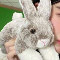 💟🪄︎︎ (@pupus7i2) 's Twitter Profile