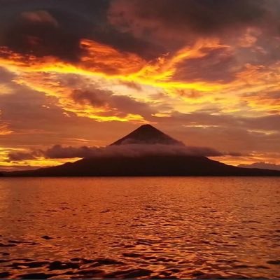 PureEnergy83's profile picture. 