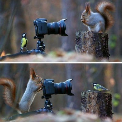 Mbewa's profile picture. FAMILY. Son | Brother | Husband | Father | WORK. Melbridge Stores Your Cooking Gas Retailer of Choice CHURCH. International Christian Centre.