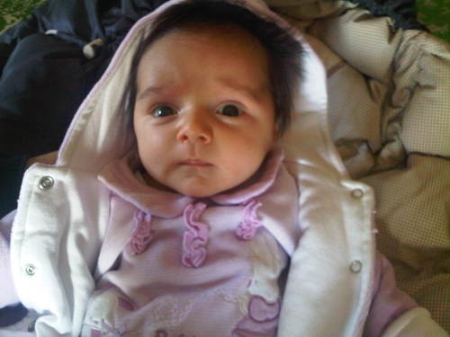 frenc71's profile picture. 