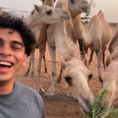 kunafapapi's profile picture. Everyone is a genius in a bull market