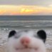 Rex (derogatory) (@smokenmilk) Twitter profile photo Rex (derogatory) (@smokenmilk) Twitter profile photo