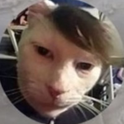 dontmove0n's profile picture. ถ้าจะตัดก็ตัดให้ขาดแล้วอย่าหันหลังกลับมา