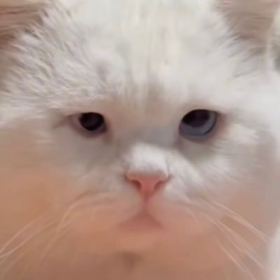 ตายซะแล้วจะดีขึ้นさんのプロフィール画像