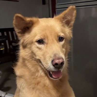 kristinedana_'s profile picture. 