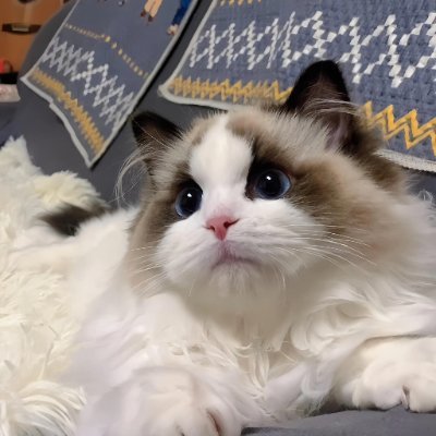 Lemon_sss7's profile picture. Nice to meet u