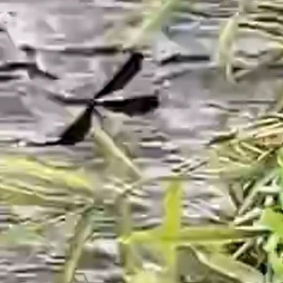 itahana_t's profile picture. 群馬県安中市板鼻宿の茶房&ギャラリーです♪
2025春 開店予定
インスタグラム🍀 itahana_t