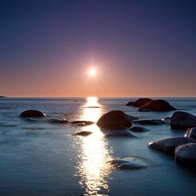 raandd2gmailco1's profile picture. 