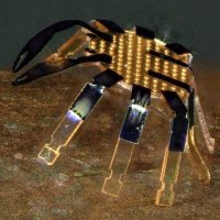 🇲🇽 QUAD849 (@quad849) 's Twitter Profile Photo