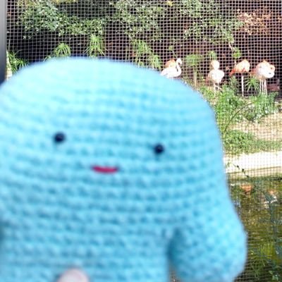 9ipKaNPImG2vteh's profile picture. 編み物が好きです🧶
棒編みに挑戦中！
素敵な作品に無言いいね失礼します🙇‍♀