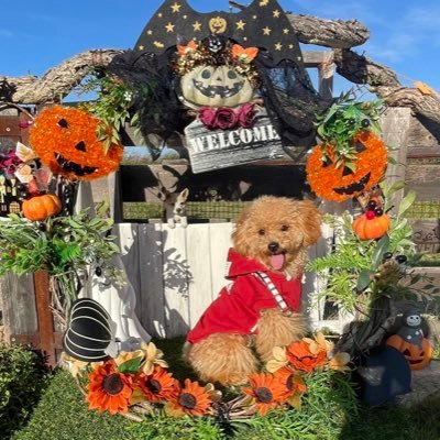 _CfCl_'s profile picture. Crossfaith FALILV OneMorningLeft