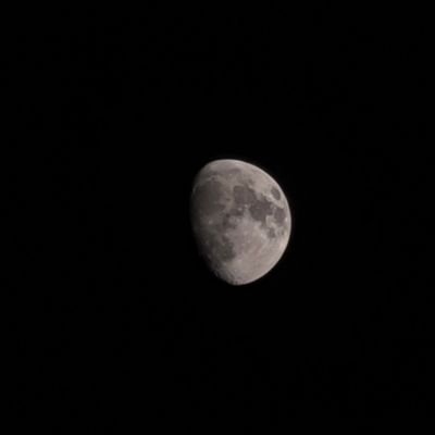 cheongmoon13's profile picture. 성인