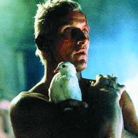 Angelo P. Goepel (@codeisnotlaw) 's Twitter Profile Photo