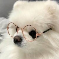 くらげ (@nam_sya1) Twitter profile photo